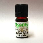 Balm Mint Bush Essential Oil - Organic
