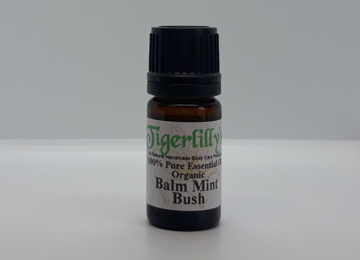 Balm Mint Bush Essential Oil Organic Tigerlilly's Natural Skin Care Products and Soaps