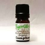 Camphor Essential Oil - Organic