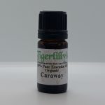 Caraway Essential Oil - Organic