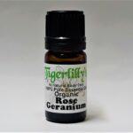 Rose Geranium Essential Oil - Organic