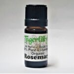 Rosemary Essential Oil - Organic