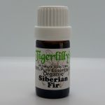 Siberian Fir Essential Oil - Organic