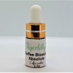 Coffee Blossom Absolute - Organic
