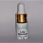 Lily Absolute - Organic