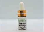 Mimosa Absolute - Organic