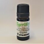 Calamus Essential Oil - Organic