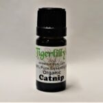 Catnip Essential Oil - Organic