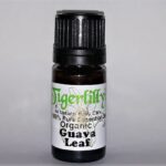 Guava Leaf  Essential Oil - Organic