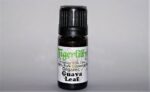 Guava Leaf  Essential Oil - Organic