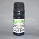 Costus Essential Oil - Organic