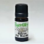 Silver Fir Needle Essential Oil - Organic