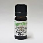 Angelica Root Essential Oil - Organic
