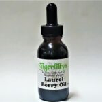 Laurel Berry oil - Organic Virgin