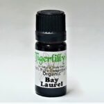 Bay Laurel Essential Oil - Organic