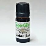 Cedar Leaf Essential Oil - Organic