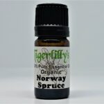 Spruce Norway Essential Oil - Organic