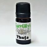 Thuja Essential Oil - Organic