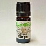 Hops Essential Oil - Organic