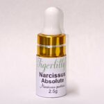 Narcissus Absolute - Organic