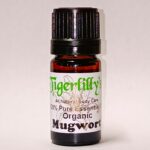 Mugwort Essential Oil - Organic