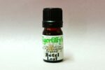 Betel Leaf Essential Oil - Organic