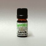 Larch Tamarack Essential Oil - Organic