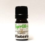 Wisteria - American Essential Oil - Organic