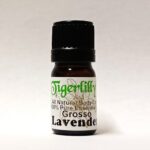 Lavender Grosso Essential Oil