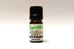 Lavender Grosso Essential Oil Organic